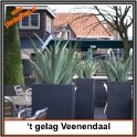 gelach veenendaal gelach veenendaal
